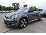 Platinum Gray Metallic Volkswagen Beetle in 2013