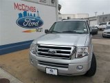 2013 Ingot Silver Ford Expedition XLT #81245960