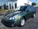 2013 Cypress Green Pearl Subaru Outback 2.5i Premium #81253486