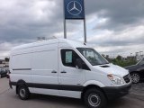 2013 Arctic White Mercedes-Benz Sprinter 2500 Cargo Van #81253140