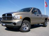 2004 Light Almond Pearl Dodge Ram 1500 SLT Quad Cab 4x4 #8106943