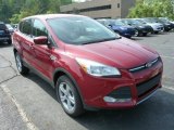 2013 Ruby Red Metallic Ford Escape SE 2.0L EcoBoost 4WD #81287979
