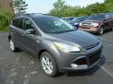 2013 Sterling Gray Metallic Ford Escape SEL 2.0L EcoBoost 4WD #81287977