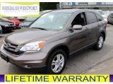 2010 Urban Titanium Metallic Honda CR-V EX-L AWD #81287915