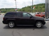 Dark Cherry Metallic Chevrolet TrailBlazer in 2009