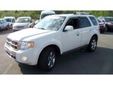 2010 White Suede Ford Escape Limited V6 4WD #81348910