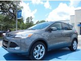 2013 Sterling Gray Metallic Ford Escape SEL 1.6L EcoBoost #81348934