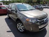 2013 Mineral Gray Metallic Ford Edge Limited #81349174