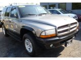 2001 Light Pewter Metallic Dodge Durango SLT 4x4 #81349369