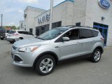 2013 Ingot Silver Metallic Ford Escape SE 2.0L EcoBoost 4WD #81349041