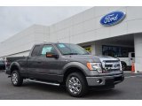 2013 Sterling Gray Metallic Ford F150 XLT SuperCab #81403497