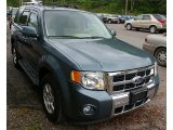 2010 Ford Escape Limited V6 4WD Front 3/4 View