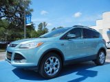 2013 Frosted Glass Metallic Ford Escape SEL 1.6L EcoBoost #81403425