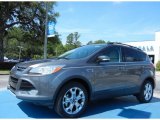 2013 Sterling Gray Metallic Ford Escape SEL 1.6L EcoBoost #81403423