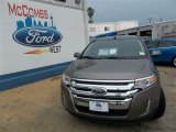 2013 Mineral Gray Metallic Ford Edge SEL #81520036