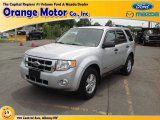 Silver Metallic Ford Escape in 2008