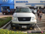 2003 Silver Birch Metallic Ford Expedition XLT #81583671