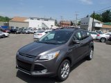 2013 Sterling Gray Metallic Ford Escape SEL 2.0L EcoBoost 4WD #81584086
