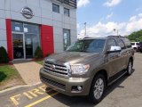 Pyrite Mica Toyota Sequoia in 2010