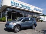 2010 Opal Sage Metallic Honda CR-V LX #81634402