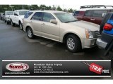 2008 Cadillac SRX V6