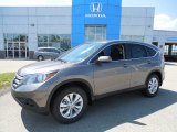 2013 Urban Titanium Metallic Honda CR-V EX AWD #81685328