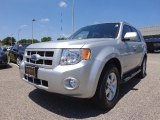 2008 Silver Metallic Ford Escape Limited 4WD #81684804