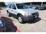 2002 Satin Silver Metallic Ford Escape XLT V6 4WD #81770470