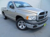 2004 Light Almond Pearl Dodge Ram 1500 ST Regular Cab #81770206