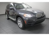 2013 Platinum Gray Metallic BMW X5 xDrive 35i Premium #81770269