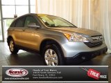 2007 Whistler Silver Metallic Honda CR-V EX-L #81810369