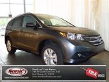 2013 Polished Metal Metallic Honda CR-V EX-L #81810365