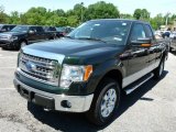 Green Gem Metallic Ford F150 in 2013