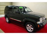 2011 Natural Green Metallic Jeep Liberty Limited #81870372