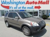 2005 Sahara Sand Metallic Honda CR-V EX 4WD #81870353