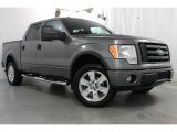 2009 Ford F150 FX4 SuperCrew 4x4 Front 3/4 View