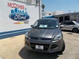 2013 Sterling Gray Metallic Ford Escape SEL 1.6L EcoBoost #81987558