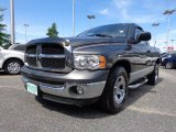 2004 Graphite Metallic Dodge Ram 1500 ST Regular Cab #81987548