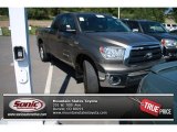 2010 Pyrite Brown Mica Toyota Tundra TRD Double Cab 4x4 #81987450