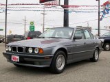 1995 Arctic Grey Metallic BMW 5 Series 540i Sedan #8196051