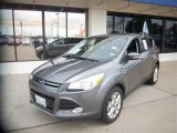 2013 Sterling Gray Metallic Ford Escape SEL 2.0L EcoBoost #82058196