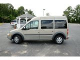 2013 Ford Transit Connect Tectonic Silver Metallic