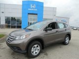 2013 Urban Titanium Metallic Honda CR-V LX AWD #82098789