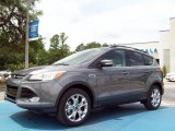 2013 Sterling Gray Metallic Ford Escape SEL 2.0L EcoBoost #82161005