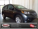 2013 Polished Metal Metallic Honda CR-V EX-L #82160888
