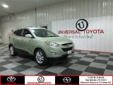 2011 Kiwi Green Hyundai Tucson Limited #82160971