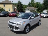 2013 Ingot Silver Metallic Ford Escape SE 2.0L EcoBoost 4WD #82161541