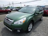 Cypress Green Pearl Subaru Outback in 2014