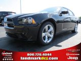 2013 Dodge Charger SE