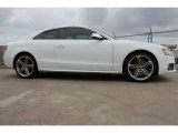Ibis White Audi S5 in 2012